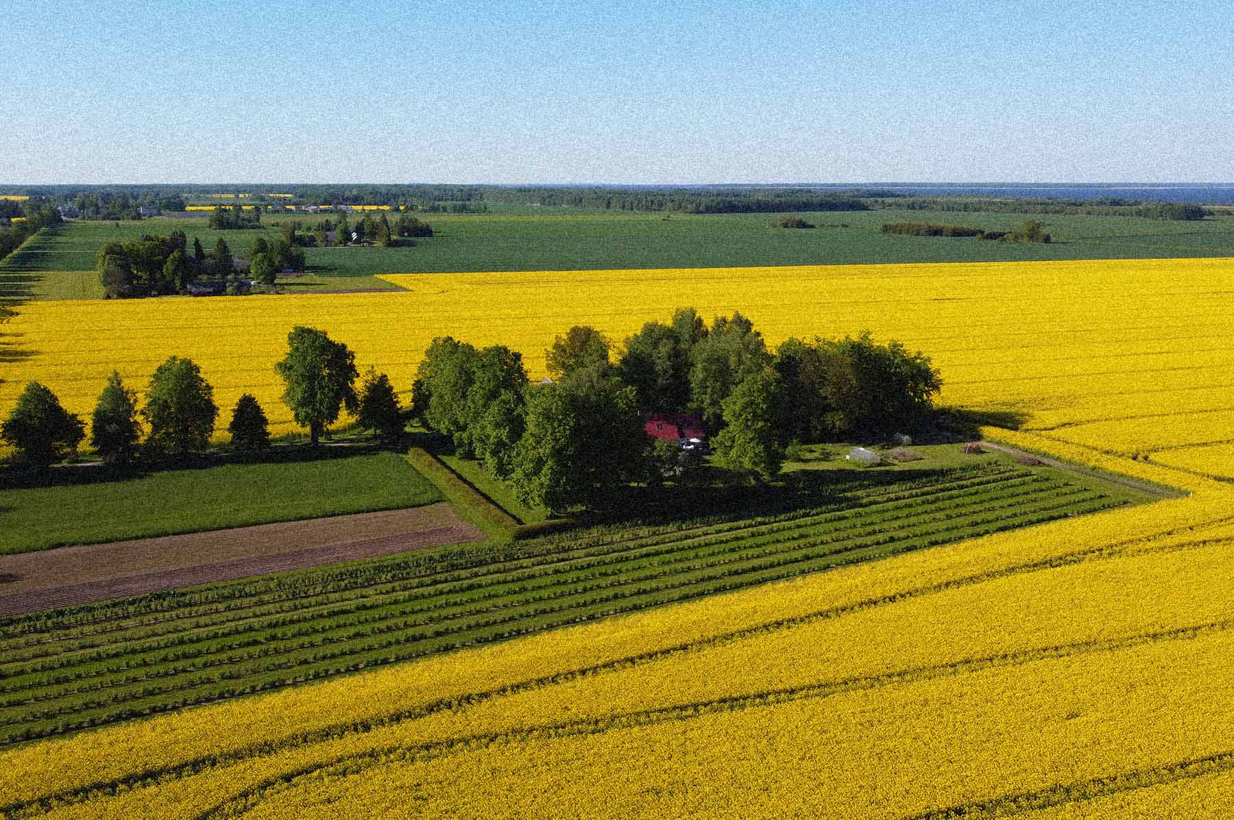 Toosikatsi veinitalu vaade
